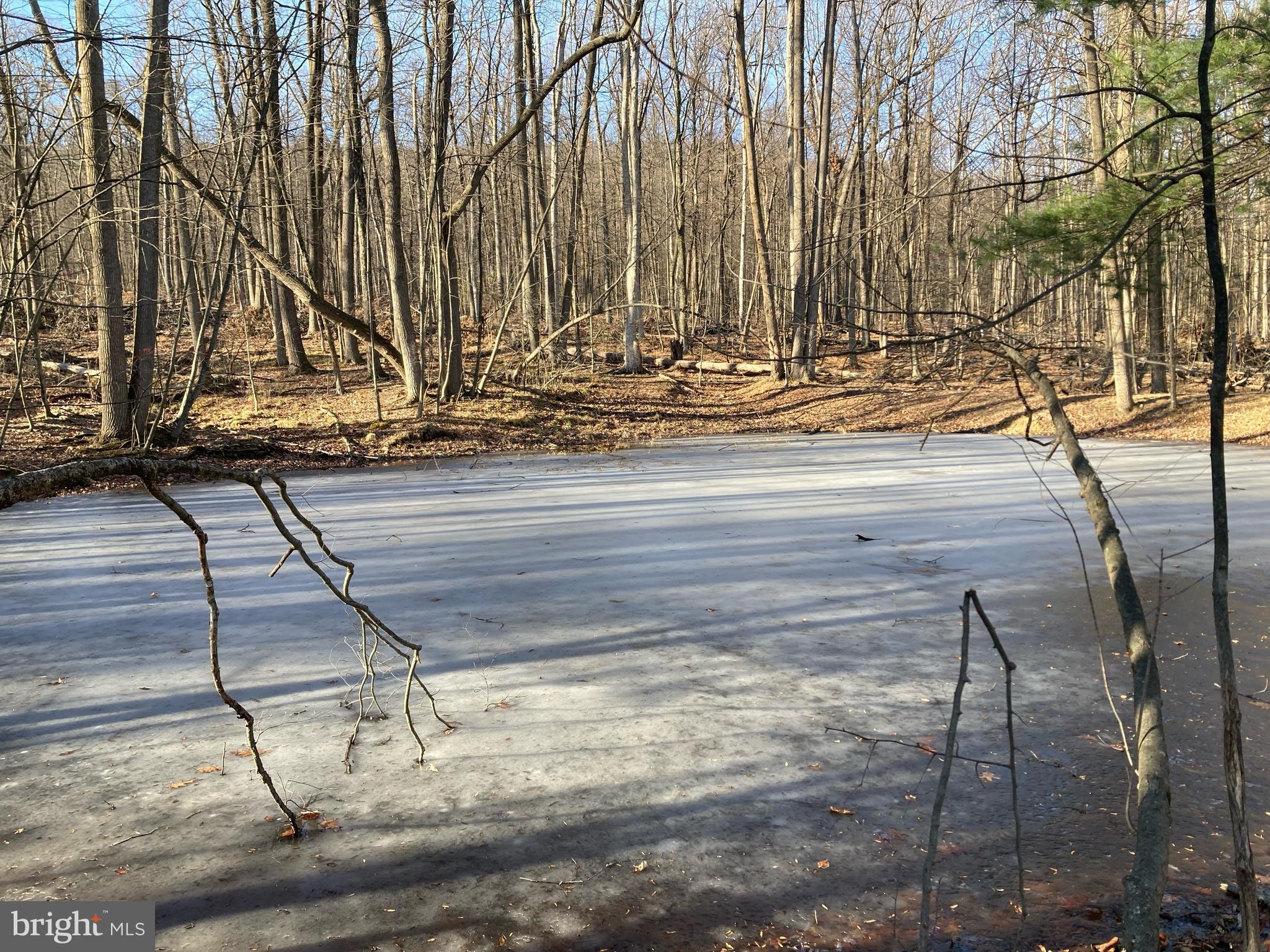441 Pine Road Hamburg, PA 19526 - Photo 25 of 38 Pond