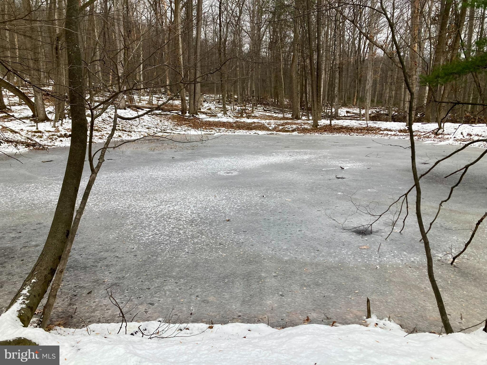 441 Pine Road Hamburg, PA 19526 - Photo 26 of 38 Pond