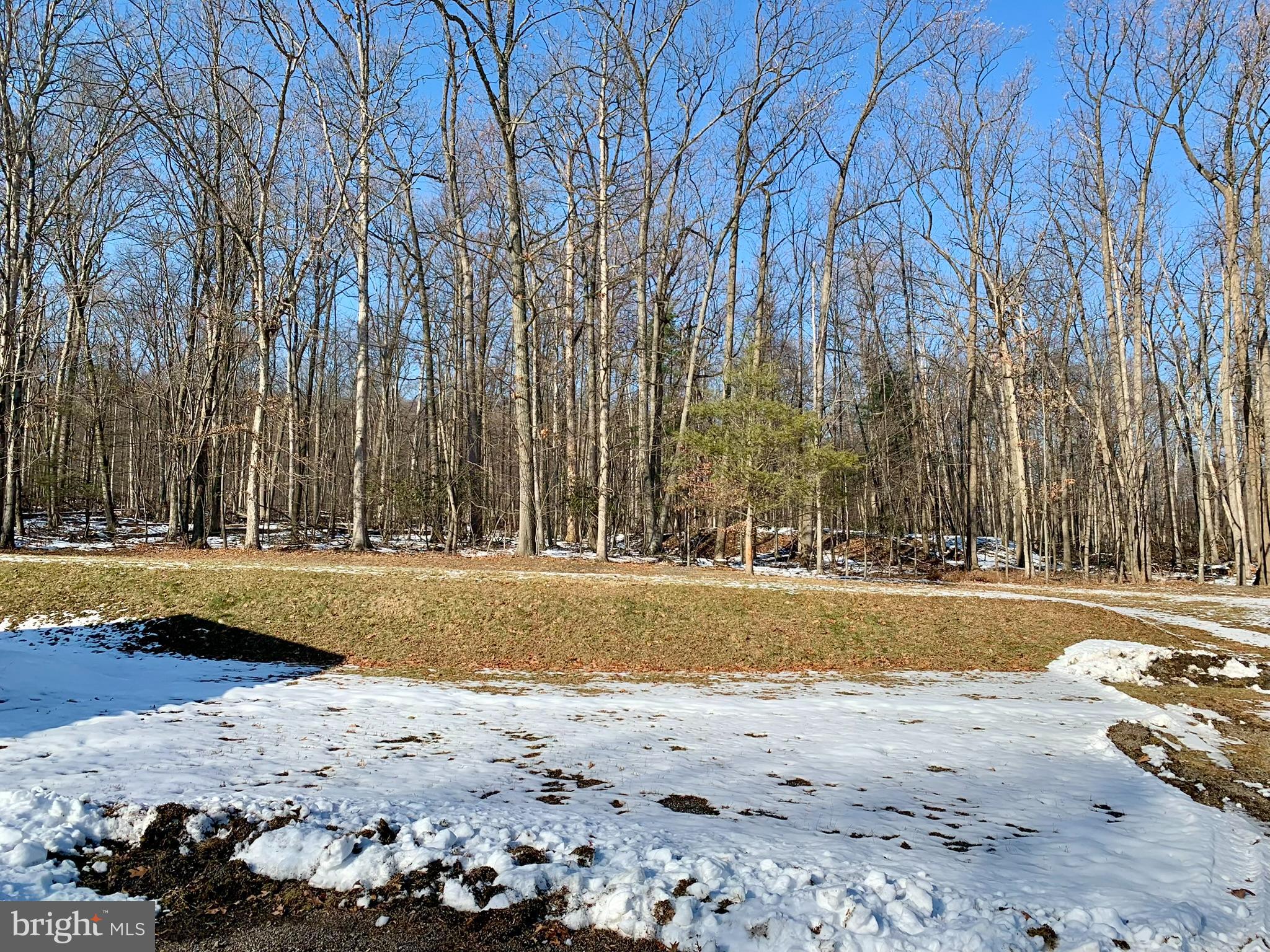 441 Pine Road Hamburg, PA 19526 - Photo 28 of 38