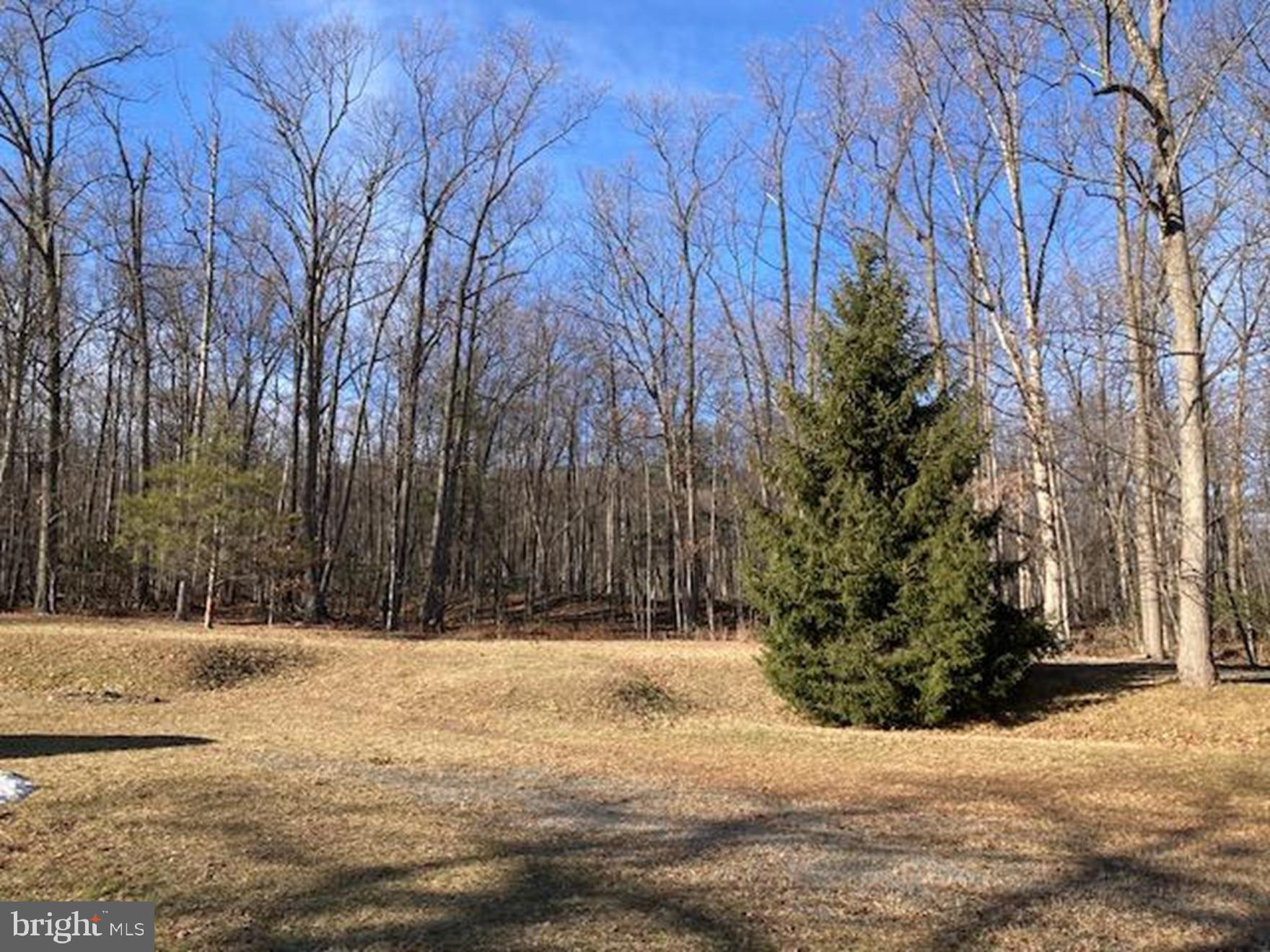 441 Pine Road Hamburg, PA 19526 - Photo 29 of 38