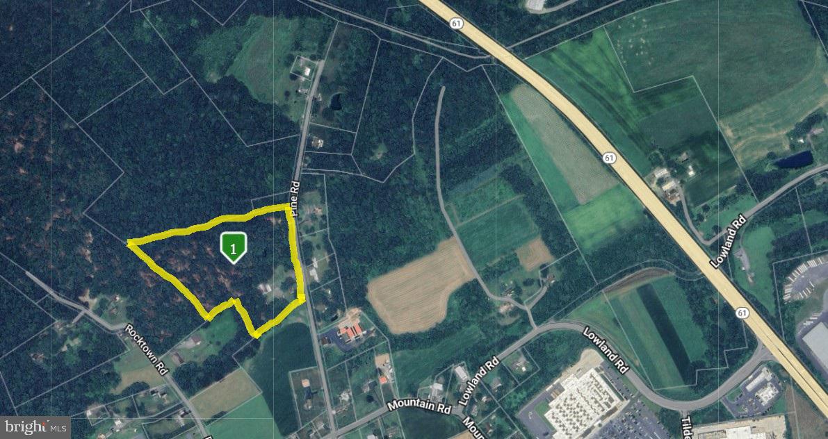 441 Pine Road Hamburg, PA 19526 - Photo 37 of 38 Aerial View of Property