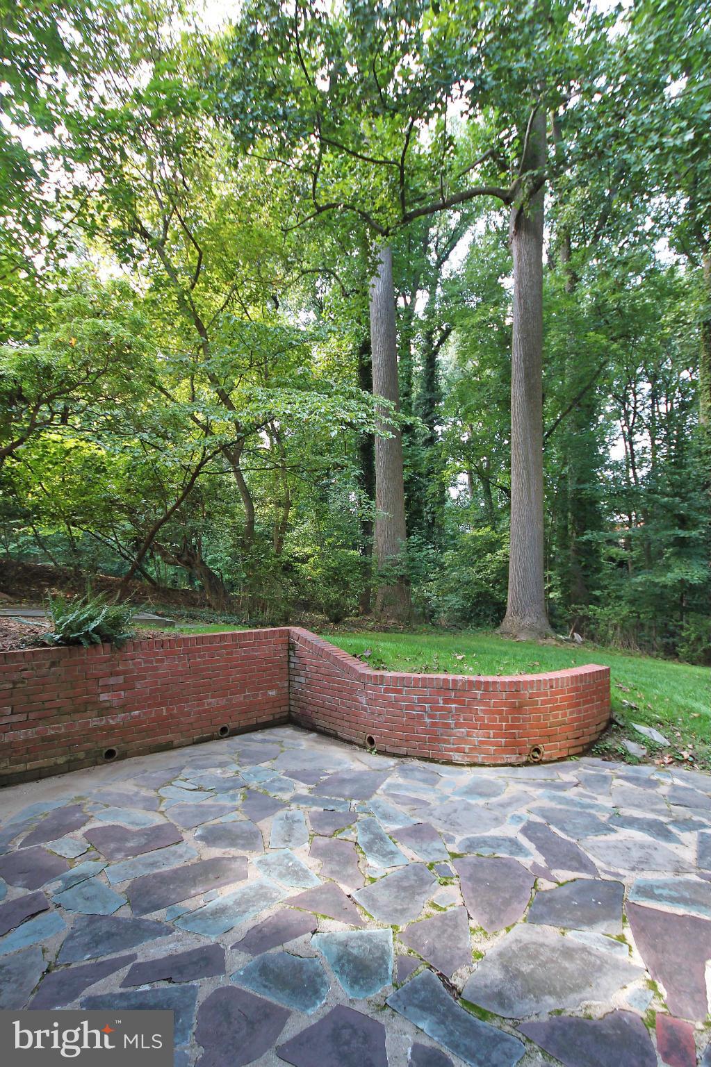 8216 Kerry Road Chevy Chase, MD 20815 - Photo 17 of 19 Exterior (Rear)