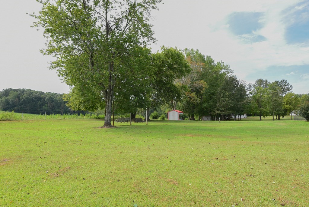 176 Durham Road Abbeville, SC 29620 - Photo 4 of 31 Gallery Image 4