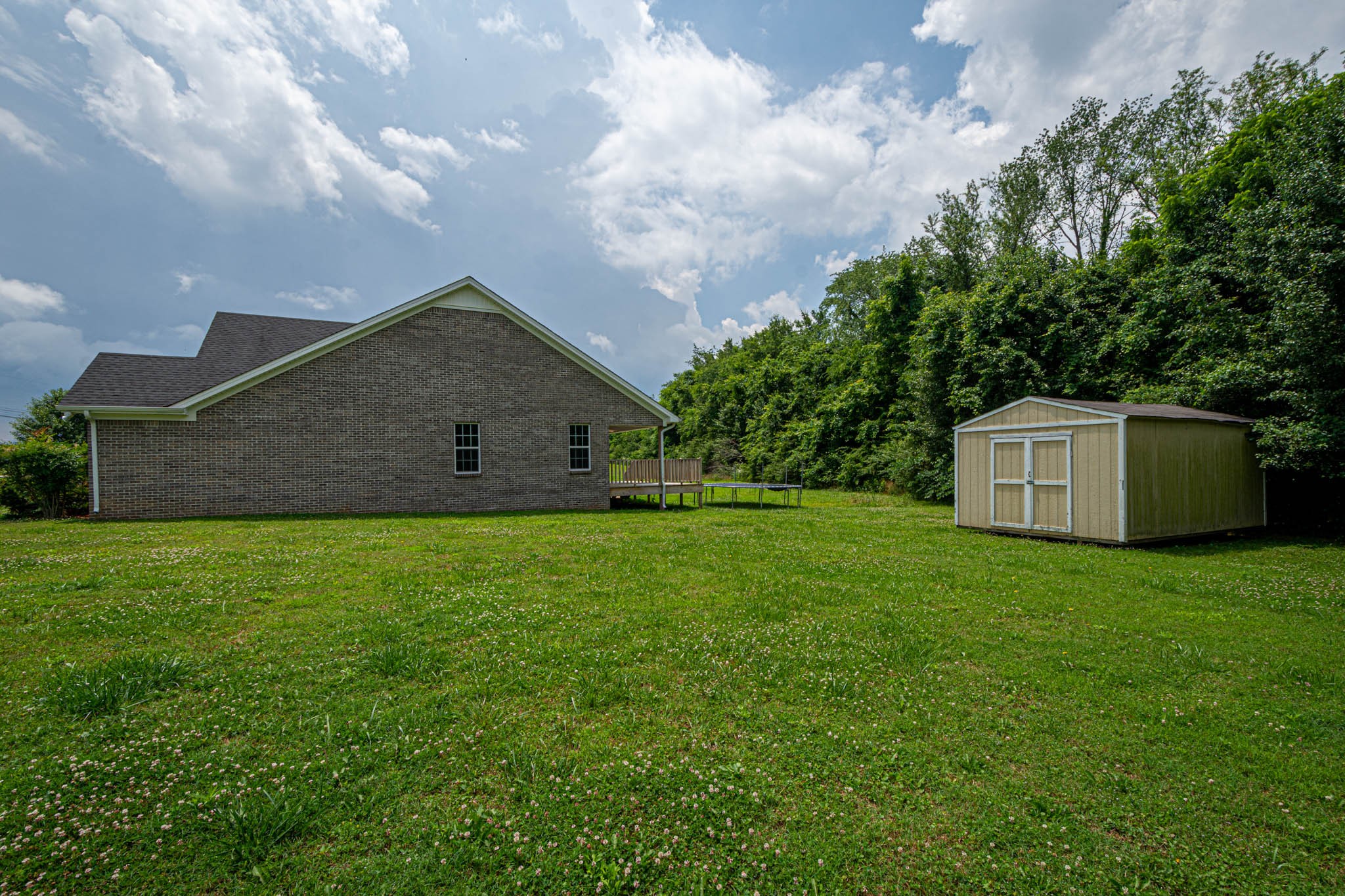 901 Cedar Pl Road Pulaski, TN 38478 - Photo 50 of 59 a view of a house with a yard and a large tree