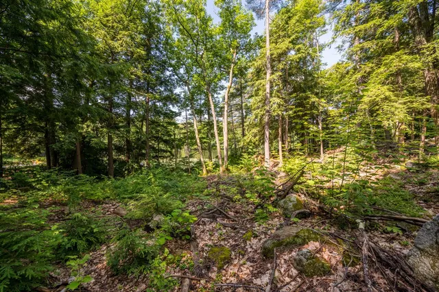 $800,000 | 0 Edgemont Road, Unit LOT 44, Sunapee, NH 03782