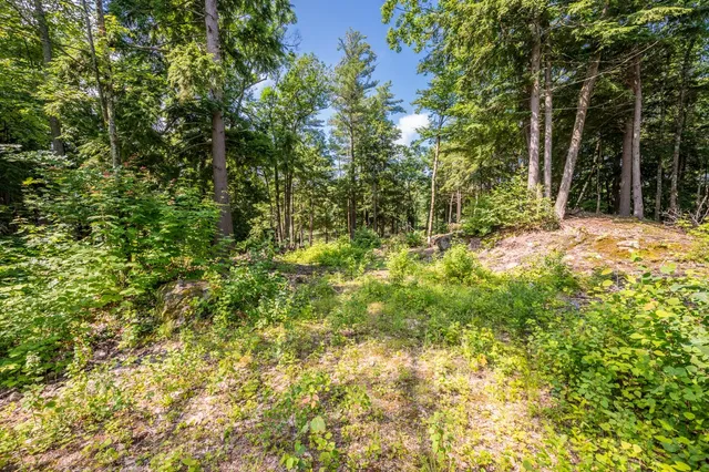$800,000 | 0 Edgemont Road, Unit LOT 44, Sunapee, NH 03782
