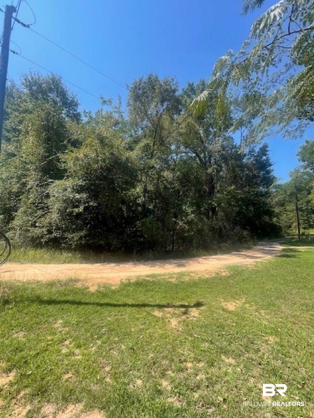 0 Mims Road Chunchula, AL 36521 - Photo 4 of 5