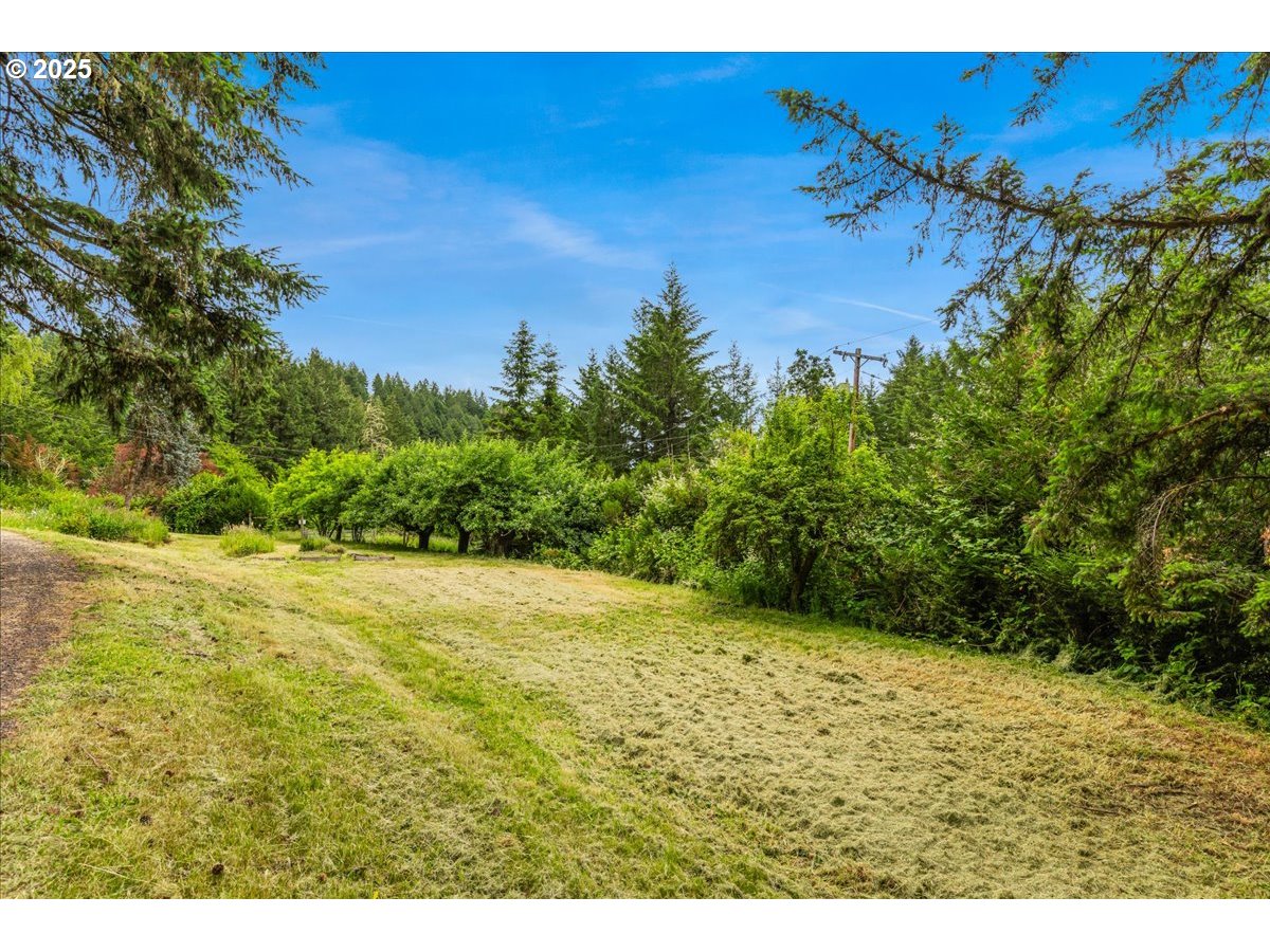 50519 Southwest Scoggins Valley Road Gaston, OR 97119 - Photo 42 of 45 Gallery Image 42