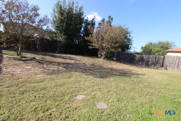 a view of a yard with plants and trees