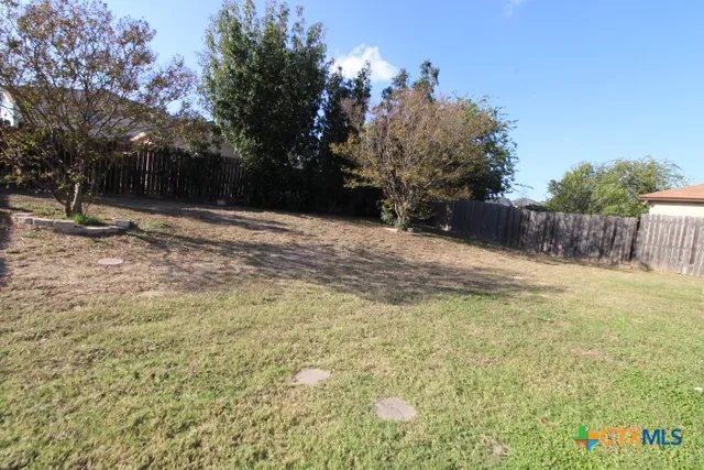 a view of a yard with plants and trees