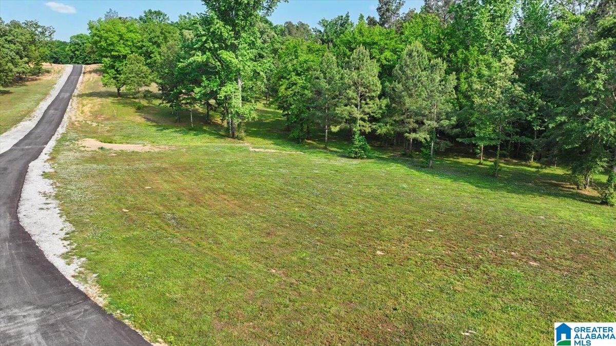 4550 Newbold Road Bessemer, AL 35022 - Photo 31 of 99