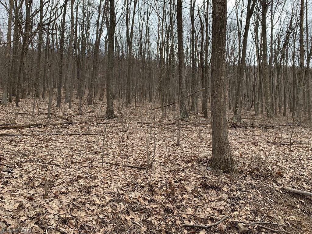 Lot 5 Monroe Mountain Road Clearville, PA 15535 - Photo 26 of 31 Gallery Image 26