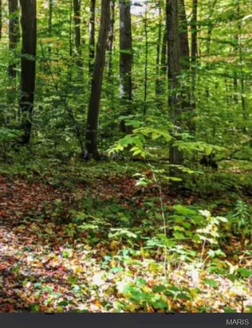 $620,500 | 19 Hwy 19 Hermann Mo 65041, Hermann, MO 65041