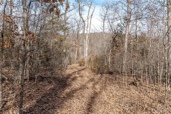 $620,500 | 0 Hwy 19 -leweke Lane, Hermann, MO 65041