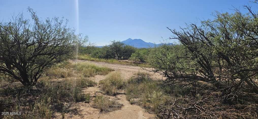 13-acres East Lane Ranch Road Hereford, AZ 85615 - Photo 8 of 15 20250902_090458