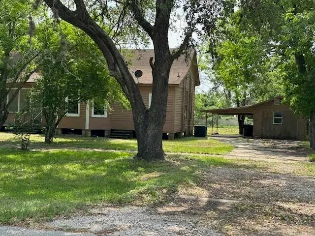 a big tree in middle of the garden