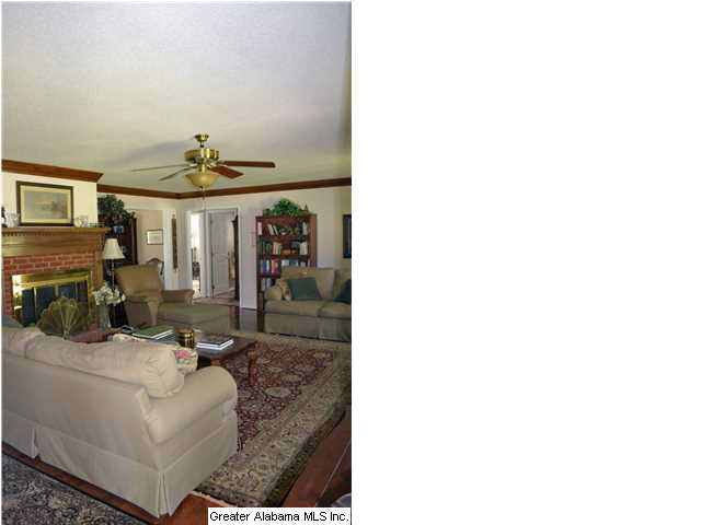 4001 Poplar Drive Adamsville, AL 35005 - Photo 10 of 17