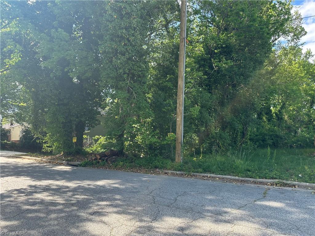 2515 Dallas Avenue High Point, NC 27265 - Photo 2 of 3