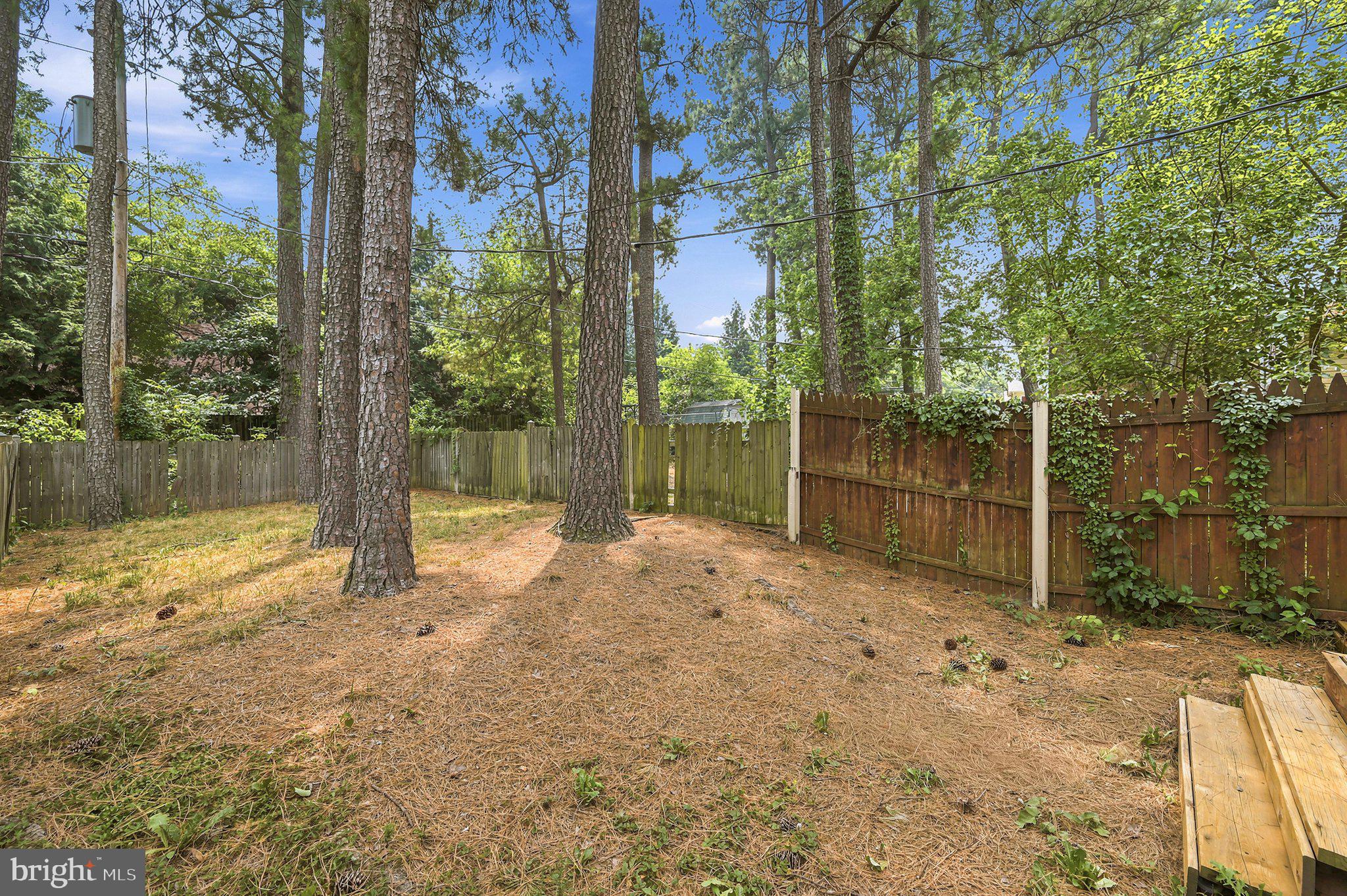 137 Brunswick Road Stephens City, VA 22655 - Photo 28 of 28 Backyard for fur babies, littles, or gardens?