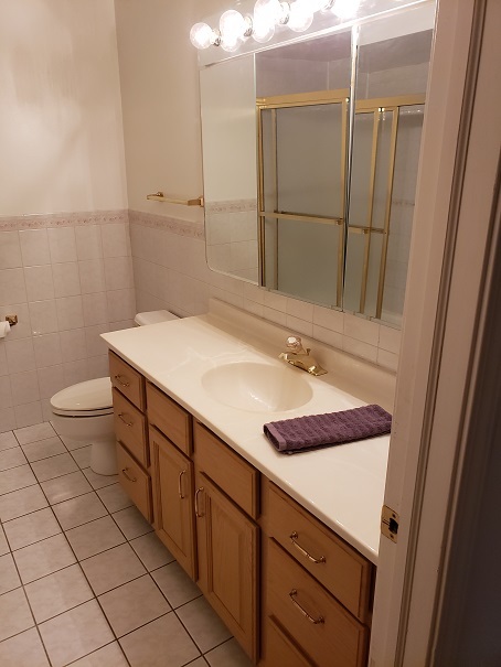 239 North Mill Road, Unit 111 Addison, IL 60101 - Photo 12 of 18 a bathroom with a sink and a mirror
