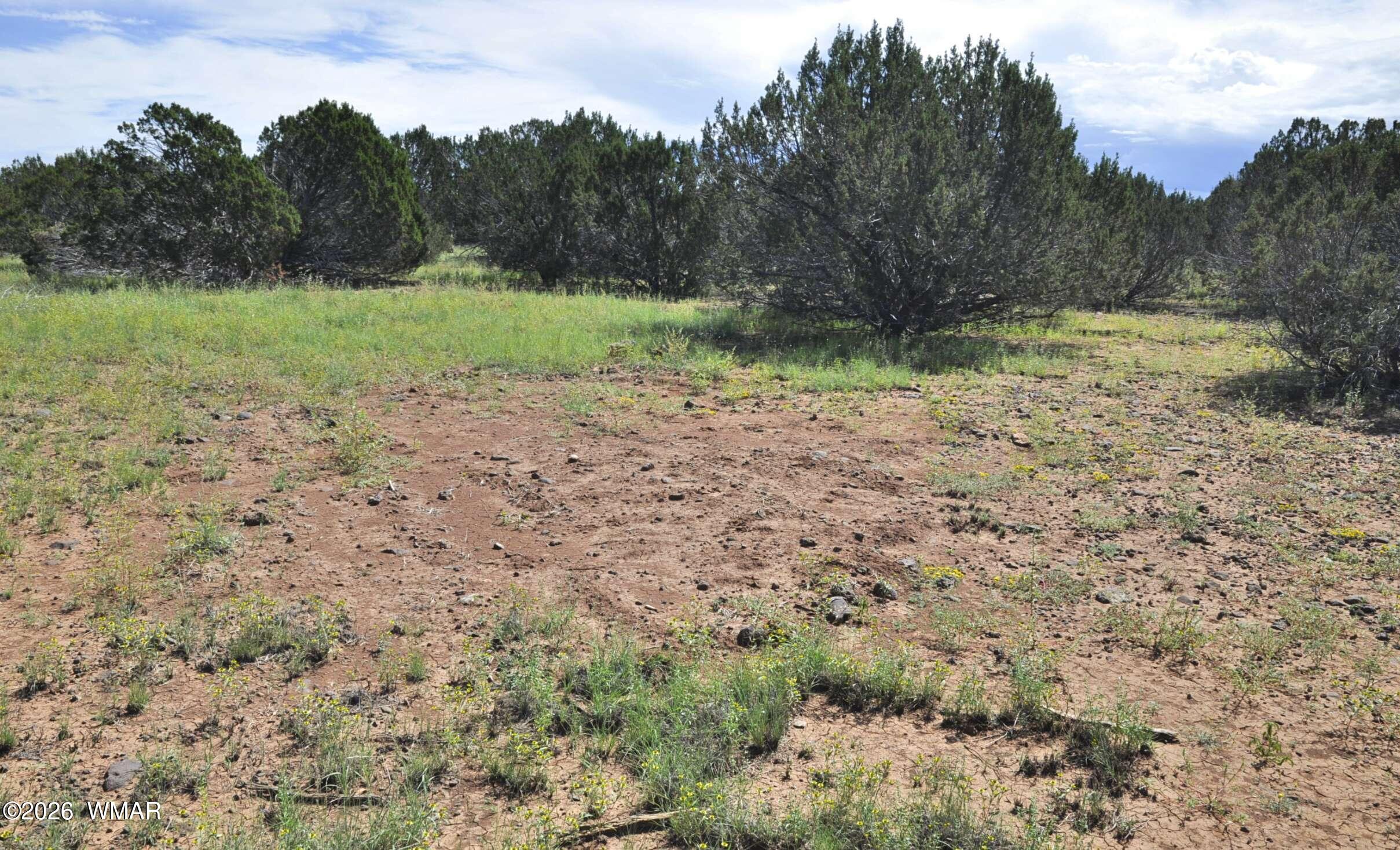 9184 C Chimisa Ranch Road Show Low, AZ 85901 - Photo 7 of 15 Gallery Image 7
