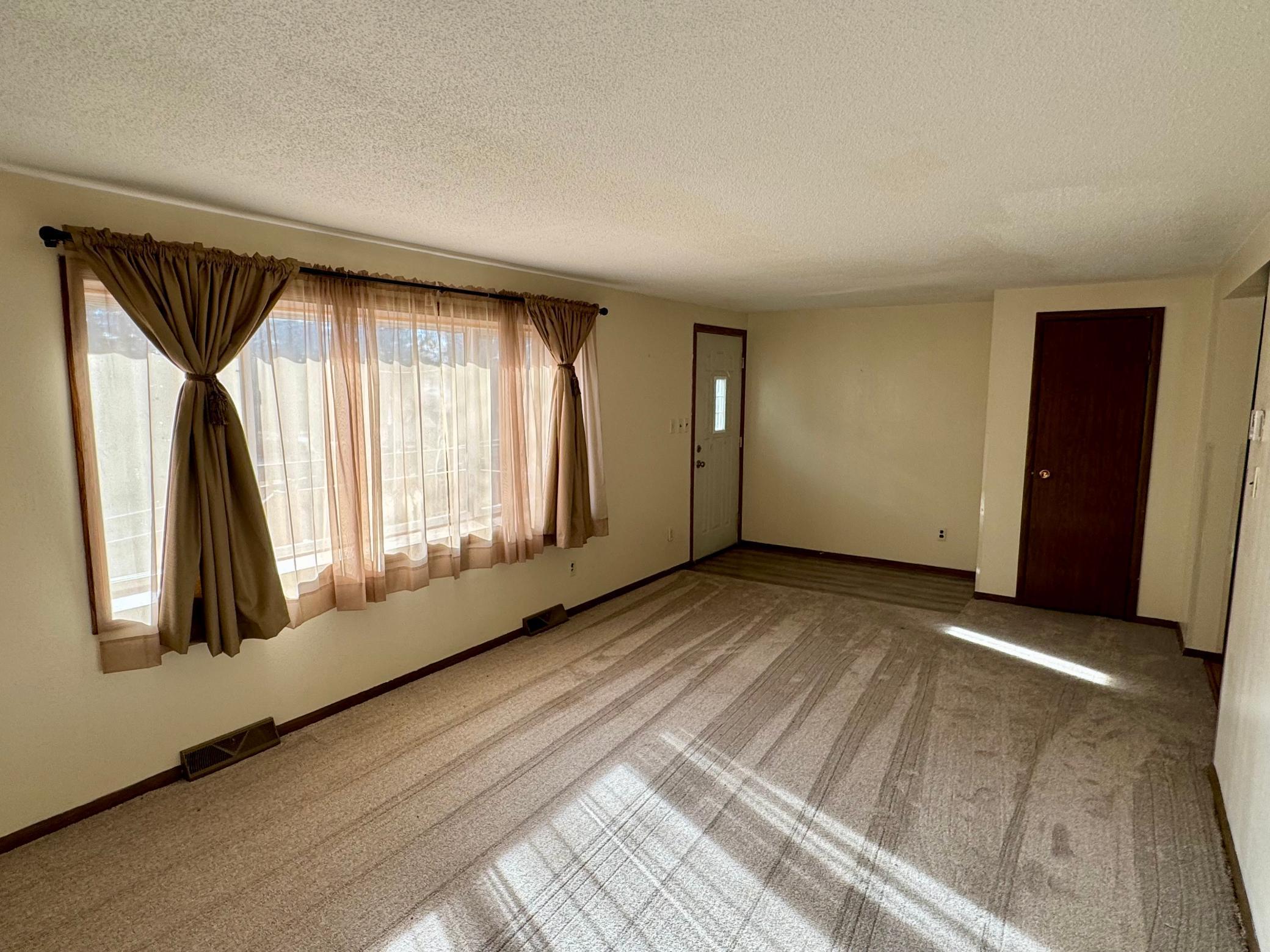 291 East 1st Street Morton, MN 56270 - Photo 3 of 21