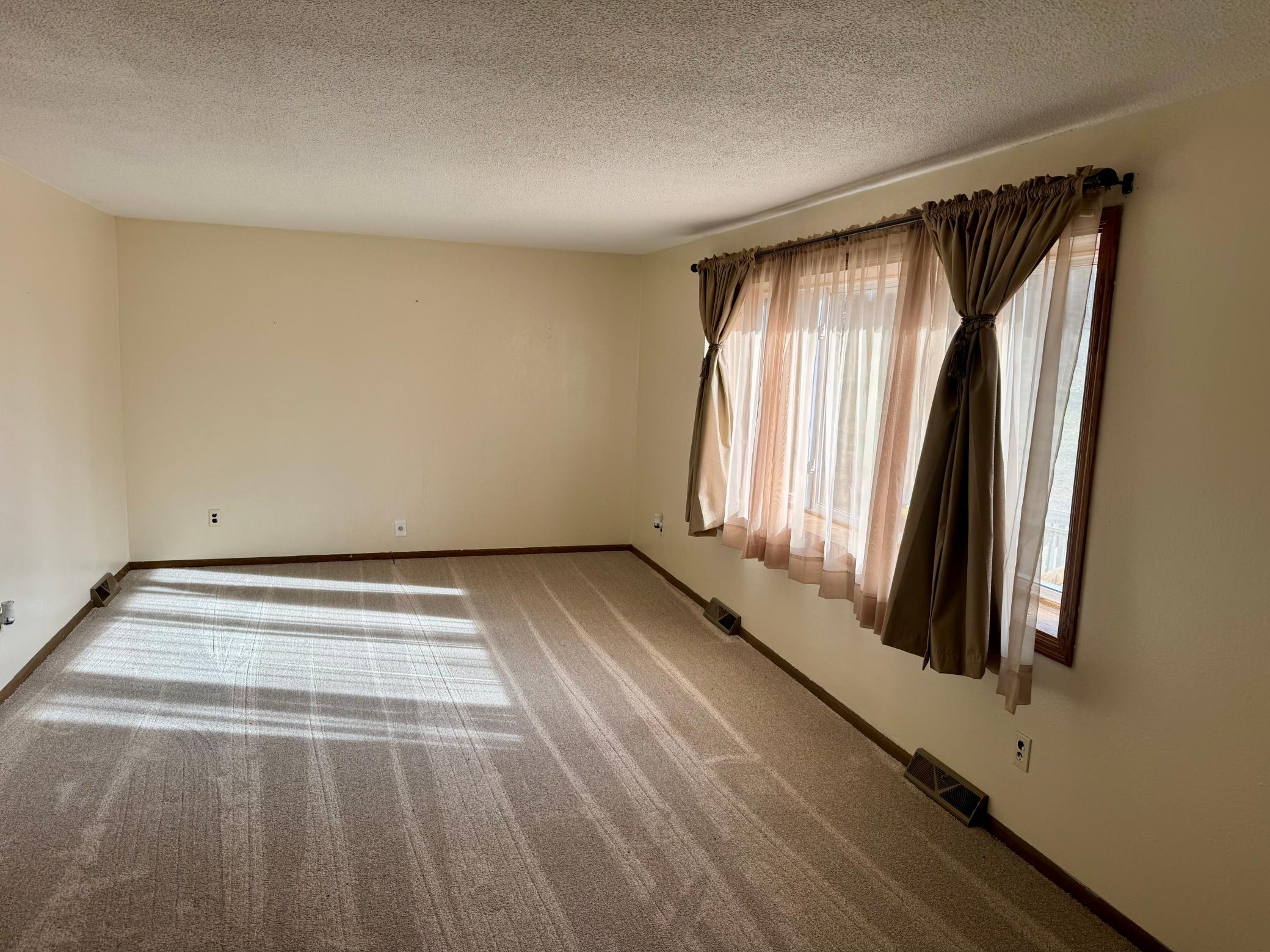 291 East 1st Street Morton, MN 56270 - Photo 4 of 21