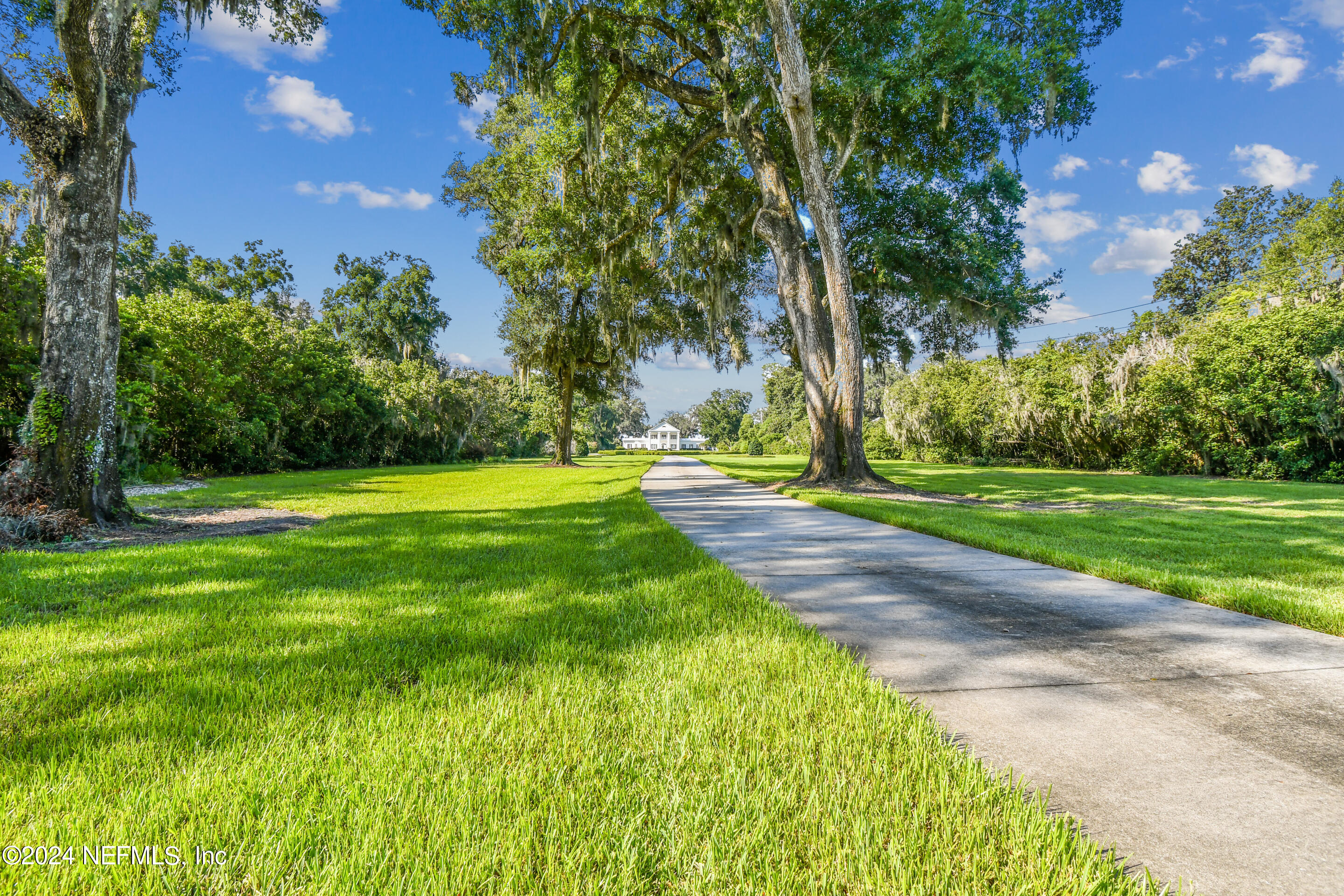 13936 Mandarin Road Jacksonville, FL 32223 - Photo 15 of 86 a view of a park with tree s
