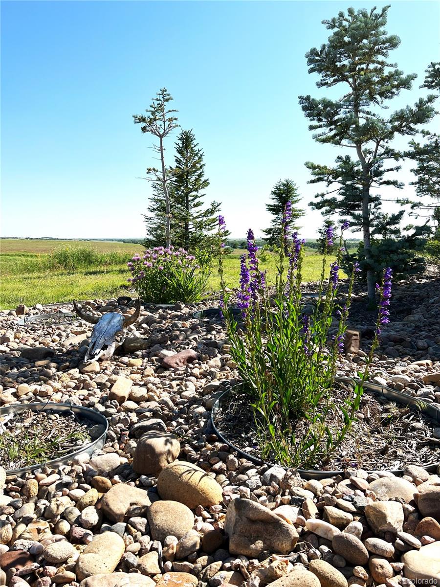 5549 Yulle Road Bennett, CO 80102 - Photo 47 of 47