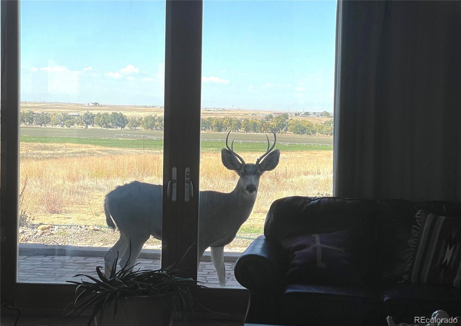 5549 Yulle Road Bennett, CO 80102 - Photo 5 of 47