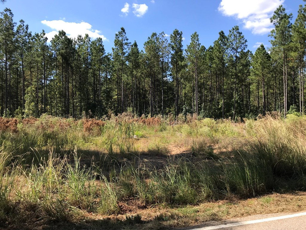 0 Martintown Road Edgefield, SC 29824 - Photo 2 of 3