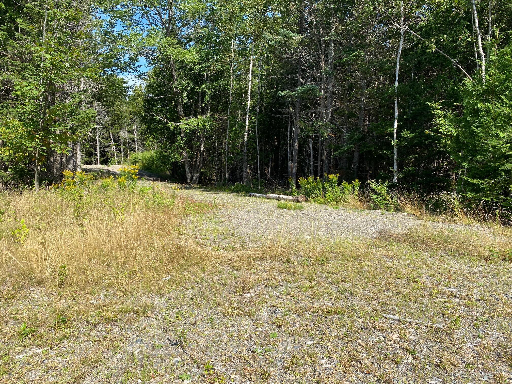 L16 Birch Point Road Perry, ME 04667 - Photo 4 of 7 4. Cul-de-sac looking towards driveway