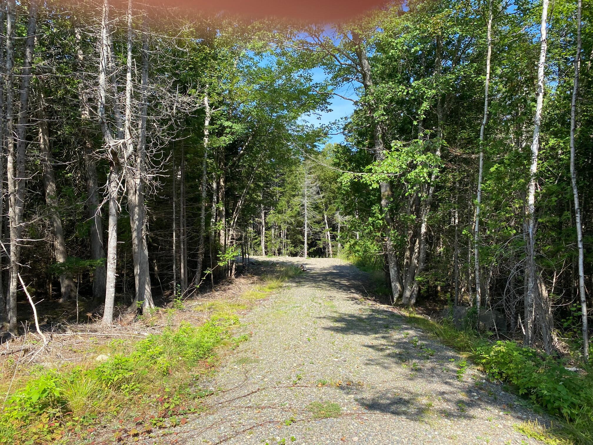 L16 Birch Point Road Perry, ME 04667 - Photo 5 of 7 5. Driveway to gravel pad