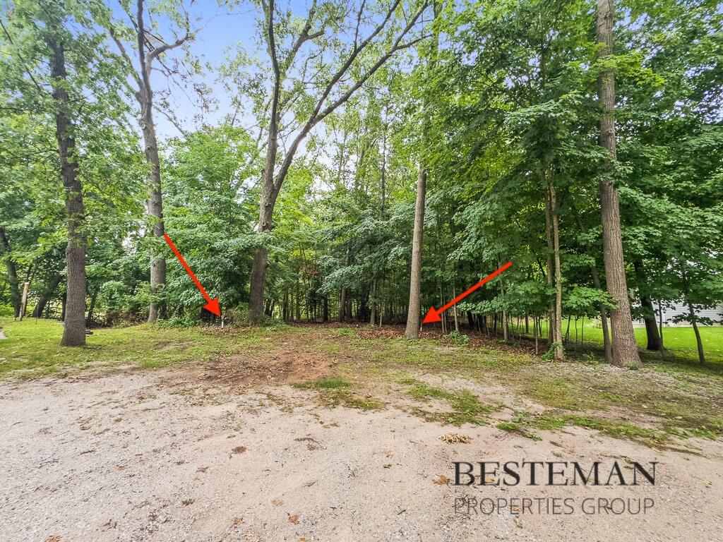 V/l Carleton Street Whitehall, MI 49461 - Photo 5 of 13 VLCarletonSt-1LoRes