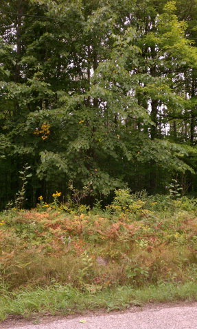 Lake Road Crivitz, WI 54114 - Photo 1 of 1