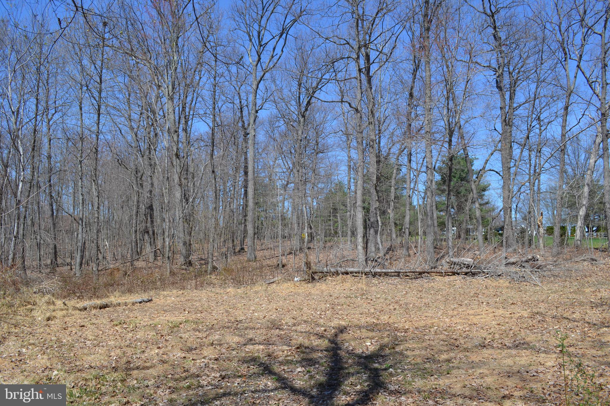 16418 Cedar Grove Road Sparks, MD 21152 - Photo 1 of 5 a view of outdoor space with large trees