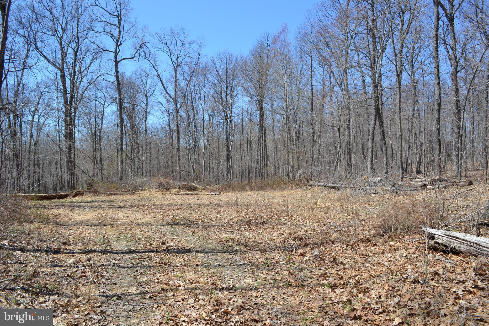 16418 Cedar Grove Road Sparks, MD 21152 - Photo 4 of 5 a view of a backyard