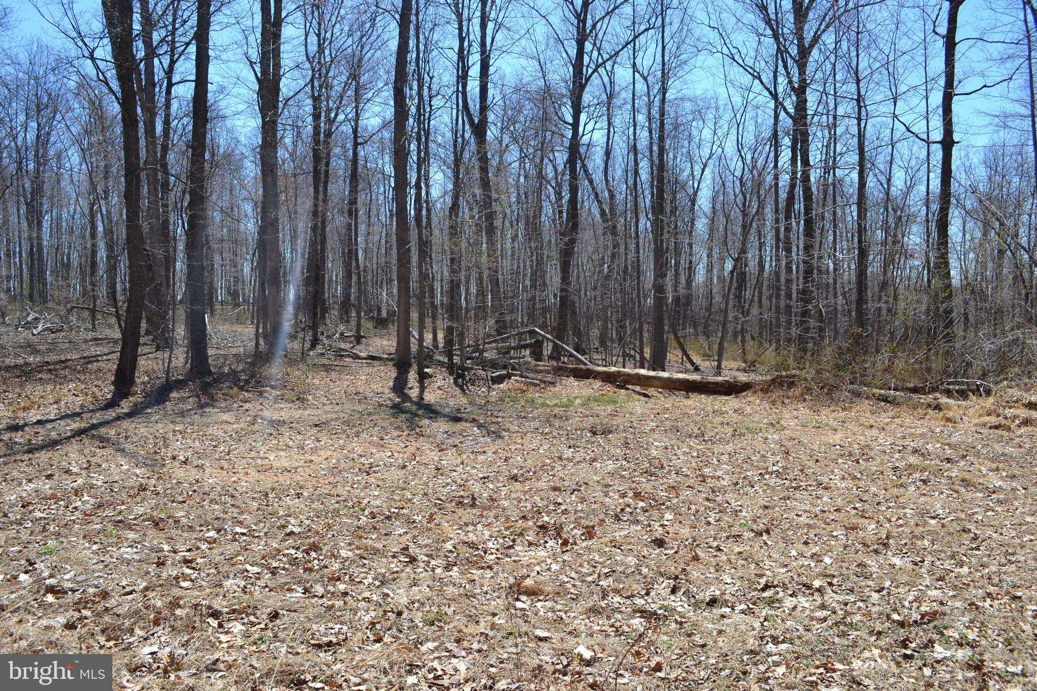 16418 Cedar Grove Road Sparks, MD 21152 - Photo 5 of 5 a view of outdoor space with sink