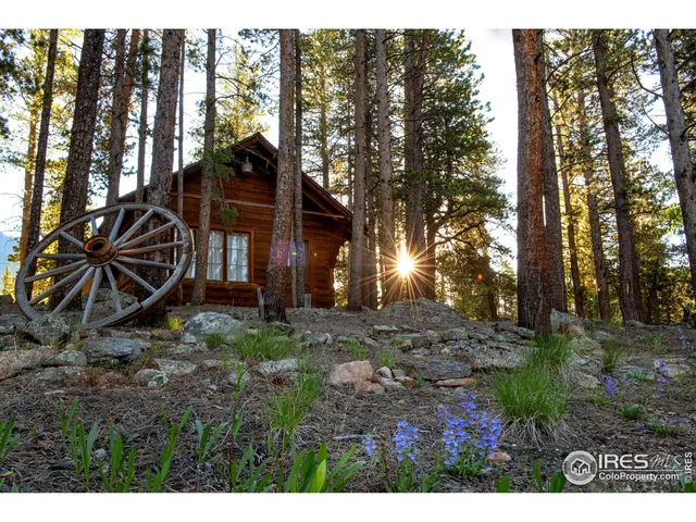 $939,000 | 1217 Big Owl Road, Allenspark, CO 80510