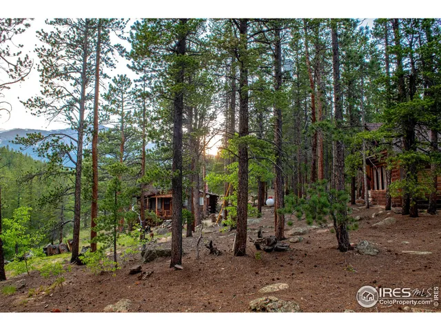 $939,000 | 1217 Big Owl Road, Allenspark, CO 80510