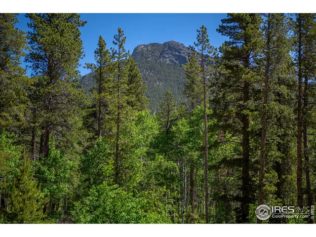 $939,000 | 1217 Big Owl Road, Allenspark, CO 80510