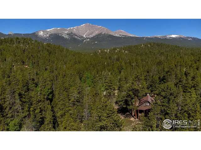 $939,000 | 1217 Big Owl Road, Allenspark, CO 80510