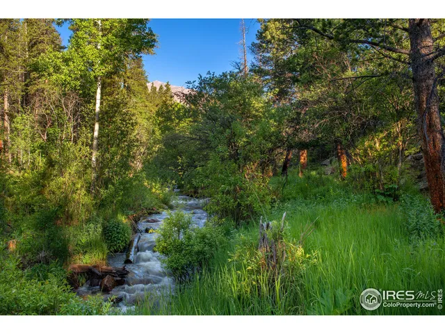 $939,000 | 1217 Big Owl Road, Allenspark, CO 80510