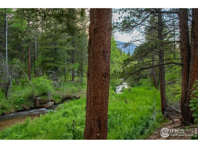 $939,000 | 1217 Big Owl Road, Allenspark, CO 80510