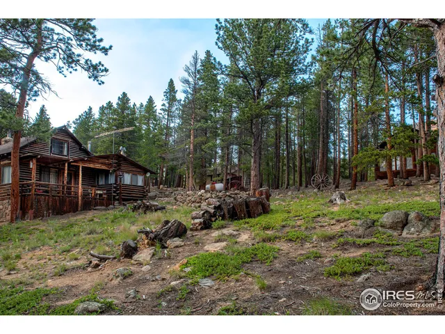 $939,000 | 1217 Big Owl Road, Allenspark, CO 80510