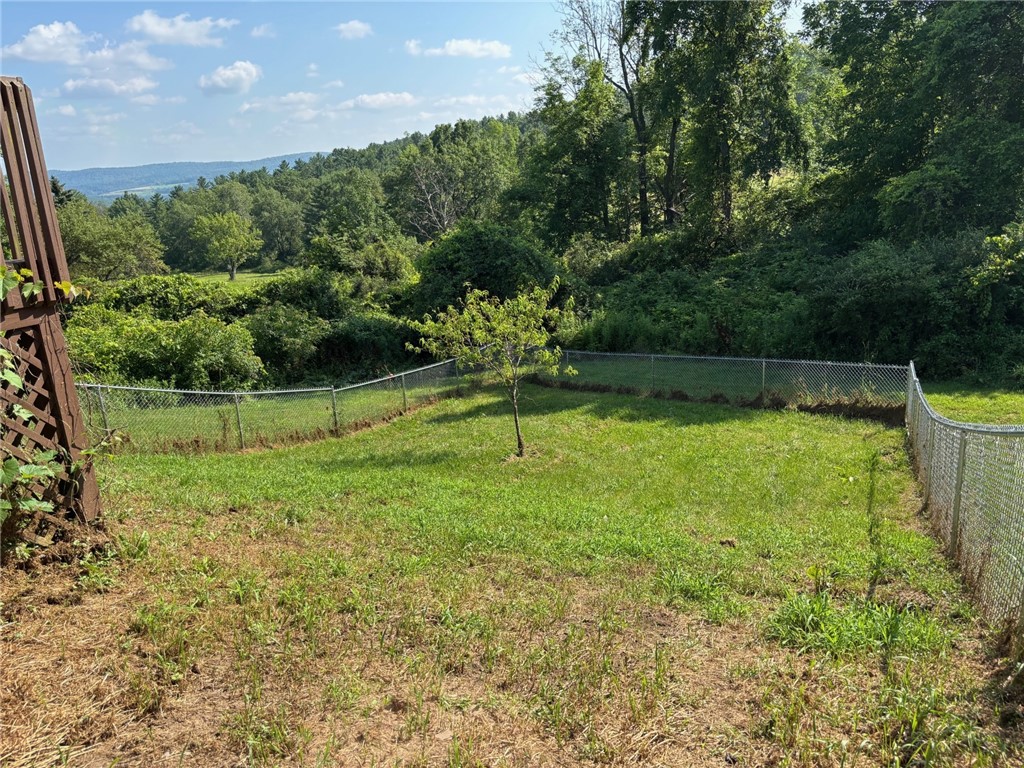 295 Kilkenny Road Unadilla, NY 13849 - Photo 13 of 19 fenced area