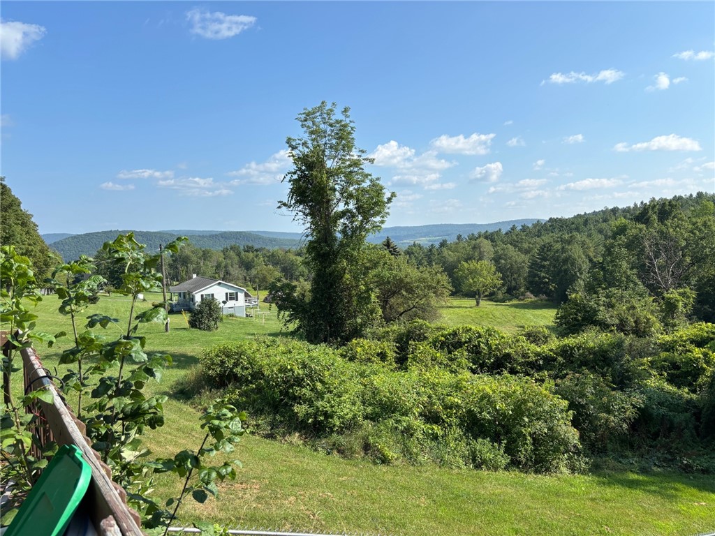 295 Kilkenny Road Unadilla, NY 13849 - Photo 14 of 19 views from deck