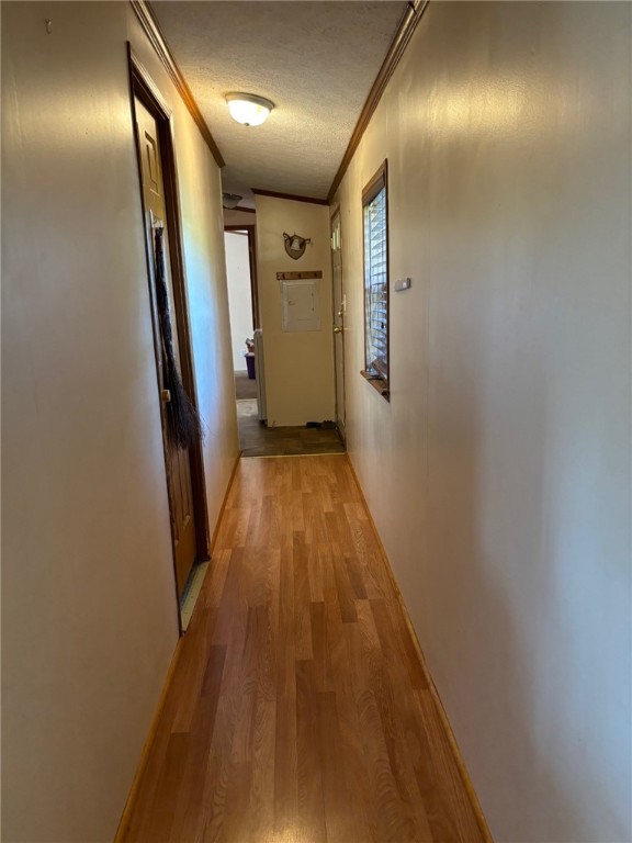 295 Kilkenny Road Unadilla, NY 13849 - Photo 16 of 19