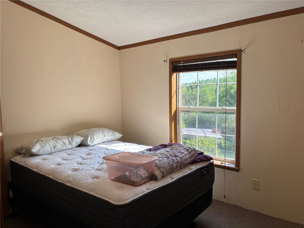 295 Kilkenny Road Unadilla, NY 13849 - Photo 10 of 19 bed 1