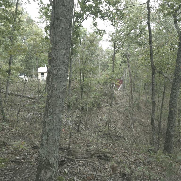 1251 Rambling Road Fairmount, GA 30139 - Photo 11 of 23 a bathroom with a shower